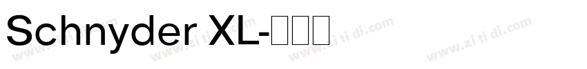 Schnyder XL字体转换